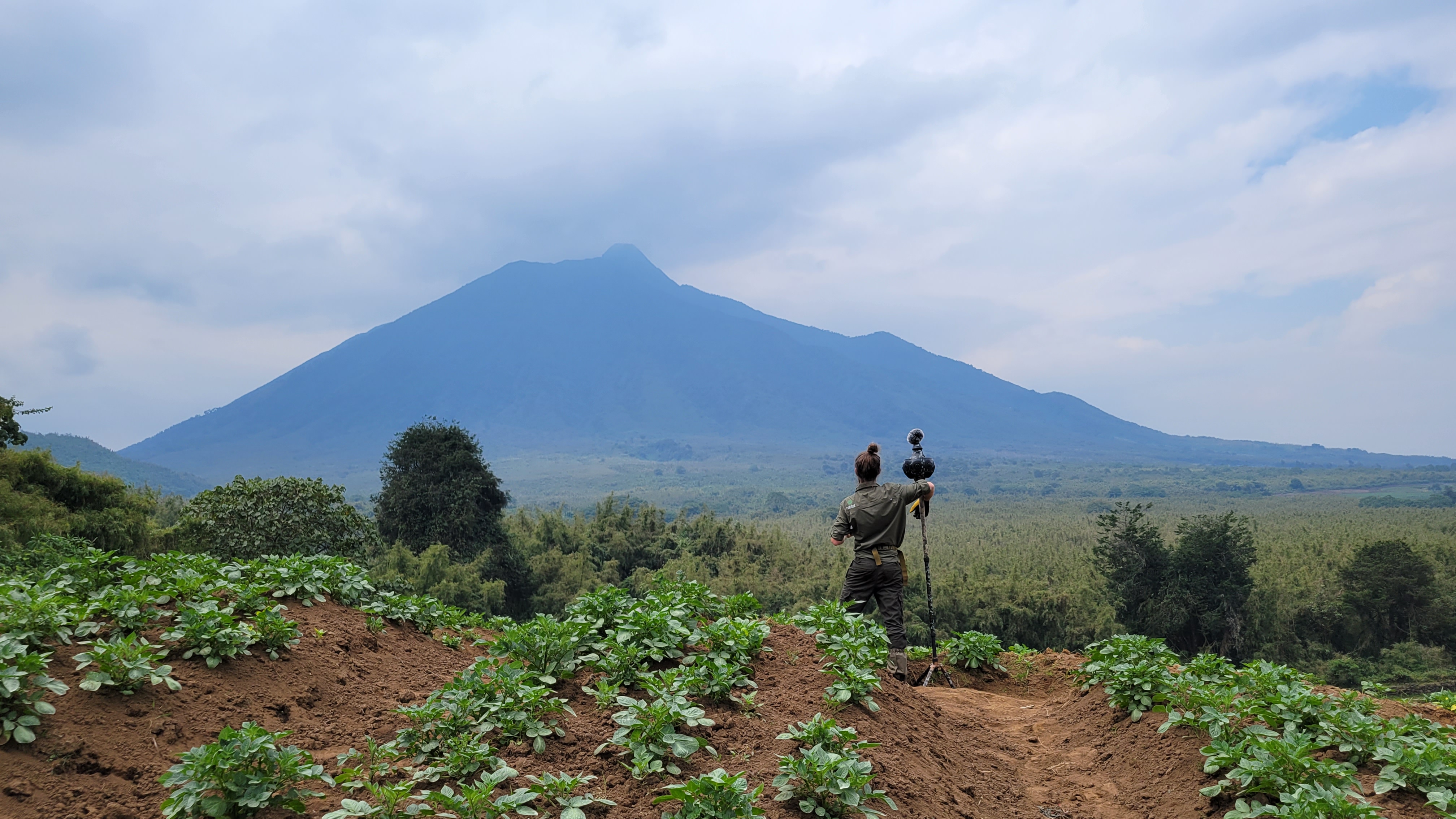 Person standing on a cultivated hillside looking at a large mountain under a cloudy sky.