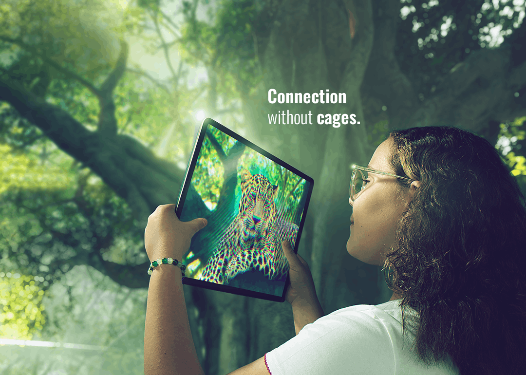 A diver operates a custom underwater 360° camera rig on an extended pole, capturing immersive footage in open ocean conditions.